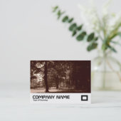 Summer, Bute Park, Cardiff, UK 名刺 (スタンド正面)