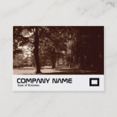 Summer, Bute Park, Cardiff, UK 名刺 (正面)