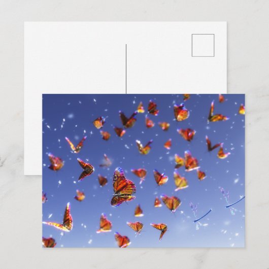 Summer Fantasiaはがき ポストカード (正面/裏面)