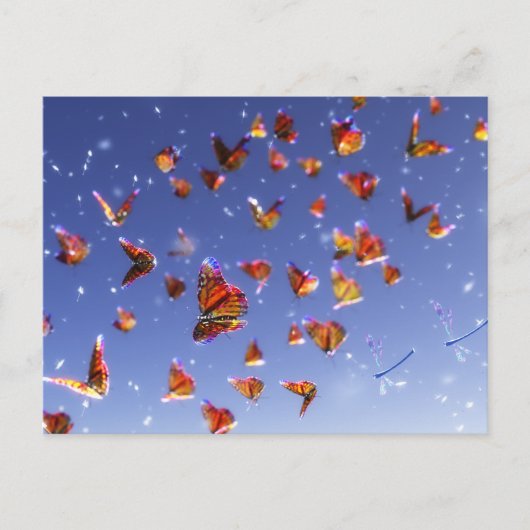 Summer Fantasiaはがき ポストカード (正面)