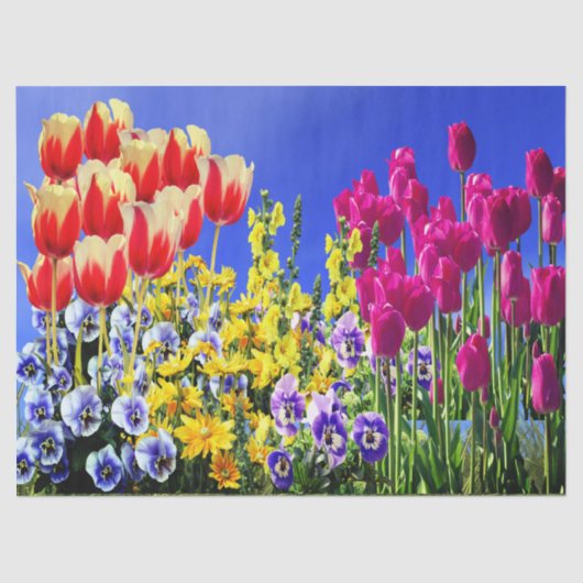 Summer Flowers 薄葉紙 (正面)