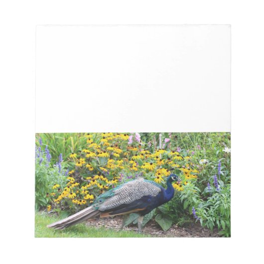Summer Garden with Peacock notepad ノートパッド (正面)
