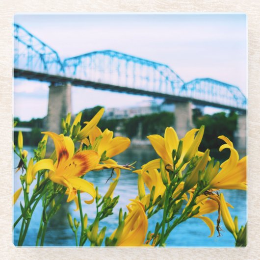 Summer in Chattanooga, TN – ウォルナット通り橋 ガラスコースター (正面)