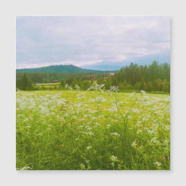 Summer in Hälsingland - Helsingia  (正面)