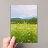 Summer in Hälsingland - Helsingia  アクリル招待状 (インサイチュ (ポータブル))