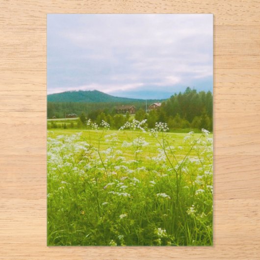 Summer in Hälsingland - Helsingia  アクリル招待状 (正面)