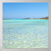 Summer in Paradise ポスター (正面)