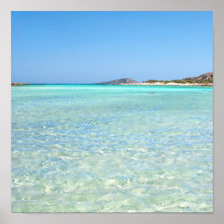 Summer in Paradise ポスター