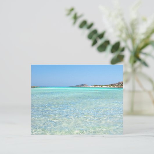 Summer in Paradise ポストカード (スタンド正面)