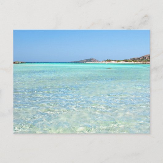 Summer in Paradise ポストカード (正面)