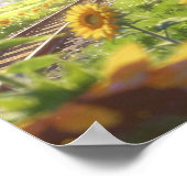Summer Journey Sunflowers and the Sky Express ポスター (角)