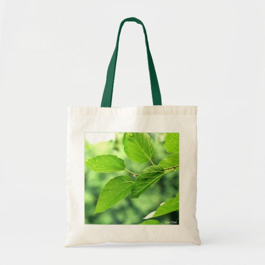 'Summer Leaves with Raindrops' Budget Canvas Tote トートバッグ (正面)
