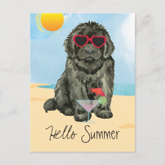 Summer Newfoundlandはがき ポストカード (正面)
