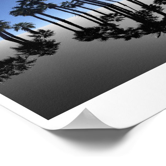 Summer Ocean Palms Reflection Photography ポスター (角)