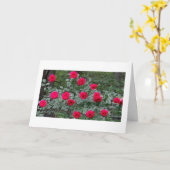 Summer roses birthday card カード (黄色い花)
