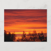 Summer Sunrise in Northern MNポストカード ポストカード (正面)