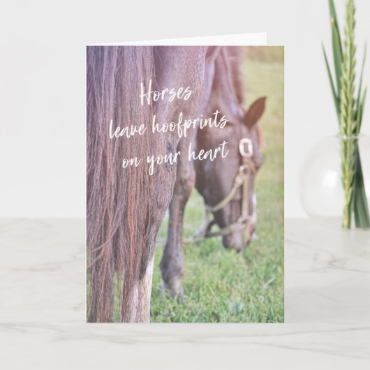 SUMMER VIEWS Greeting Card サンキューカード (正面)