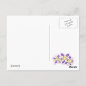 Summit County Coloradoはがき ポストカード (裏面)