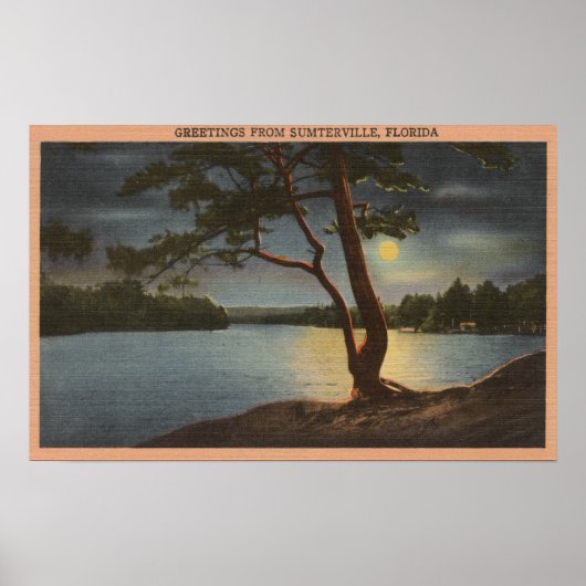 Sumterville, Florida - Moonからの挨拶 ポスター (正面)