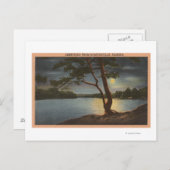 Sumterville, Florida - Moonからの挨拶 ポストカード (正面/裏面)