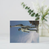 Sunポストカードへ ポストカード (スタンド正面)