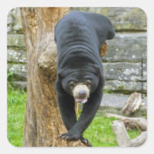 Sun Bearシール スクエアシール (正面)