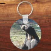 Sun Bear キーホルダー (正面)