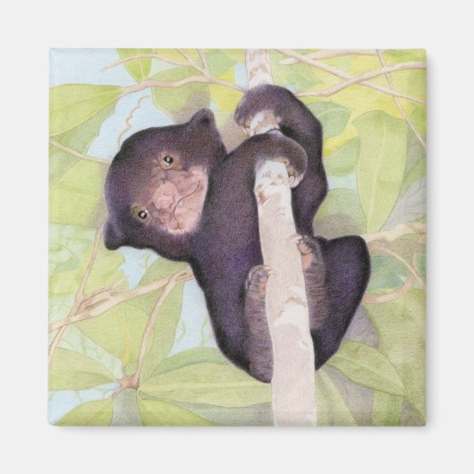 Sun Bear Cubマグネット マグネット (正面)