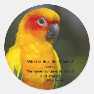 Sun Conure Parrotステッカー(文字) ラウンドシール