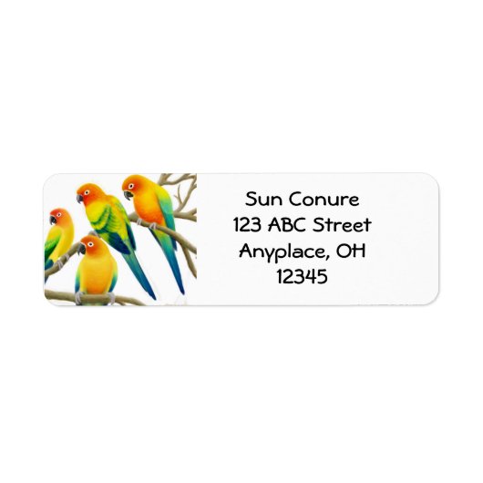 Sun Conure Parrotsラベル ラベル (正面)