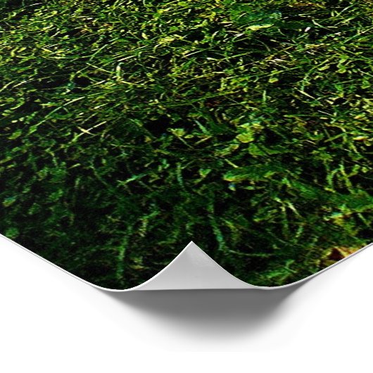 Sun Dappled Lawn ポスター (角)