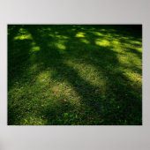 Sun Dappled Lawn ポスター (正面)