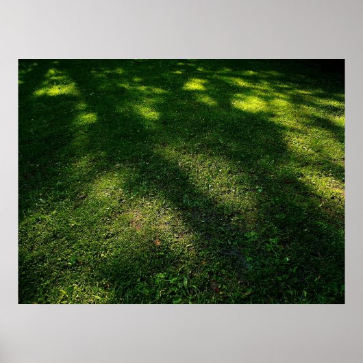 Sun Dappled Lawn ポスター (正面)