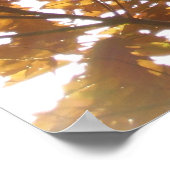 Sun Diamond on紅葉 ポスター (角)