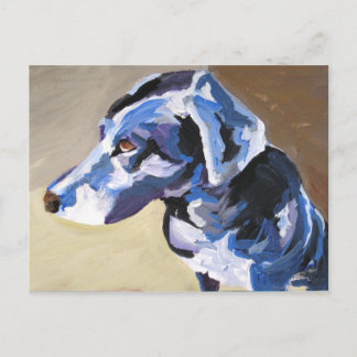 sun dog profileはがき ポストカード