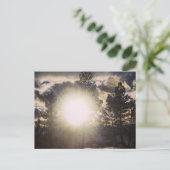 Sun In The Treesはがき ポストカード (スタンド正面)