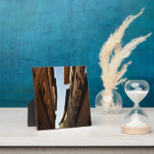 Sun-kissed Street フォトプラーク (インサイチュ)