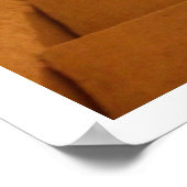 Sun-lit Stepsポスター ポスター (角)