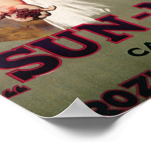 Sun-Maid California Raisin Poster ポスター (角)