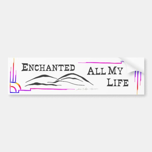 SUN & MOON MTN BUMPER STICKER studio miiri バンパーステッカー (正面)