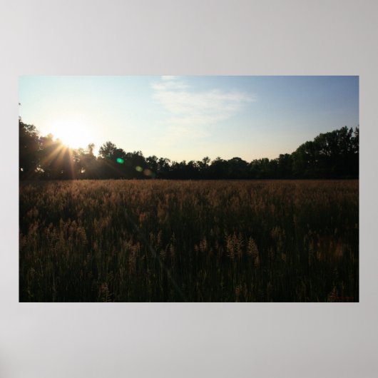 Sun Over Field #4156ポスター ポスター (正面)