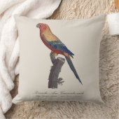 Sun Parakeet Male, Aratinga Solstitialis クッション (ブランケット)