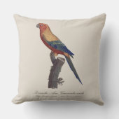 Sun Parakeet Male, Aratinga Solstitialis クッション (正面)