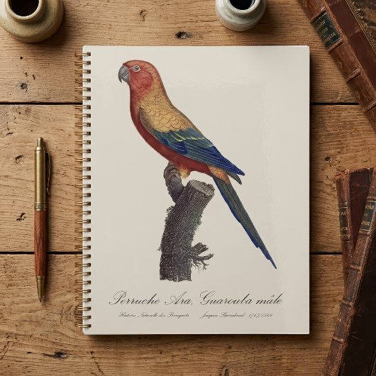 Sun Parakeet Male, Aratinga Solstitialis プランナー手帳