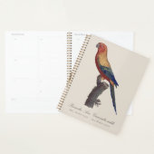 Sun Parakeet Male, Aratinga Solstitialis プランナー手帳 (ディスプレー)