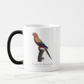 Sun Parakeet Male, Aratinga Solstitialis モーフィングマグカップ (左)