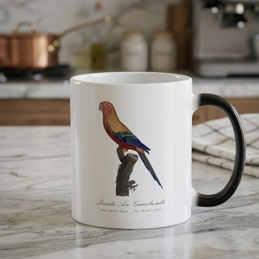 Sun Parakeet Male, Aratinga Solstitialis モーフィングマグカップ