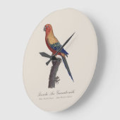 Sun Parakeet Male, Aratinga Solstitialis ラージ壁時計 (傾斜)