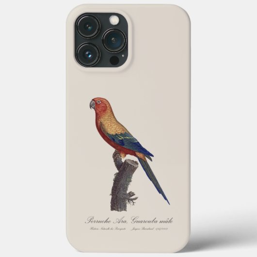 Sun Parakeet Male, Aratinga Solstitialis Case-Mate iPhoneケース (裏面)