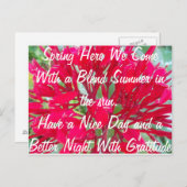 Sun Post Cardで素敵な夏を過ごす ポストカード (正面/裏面)